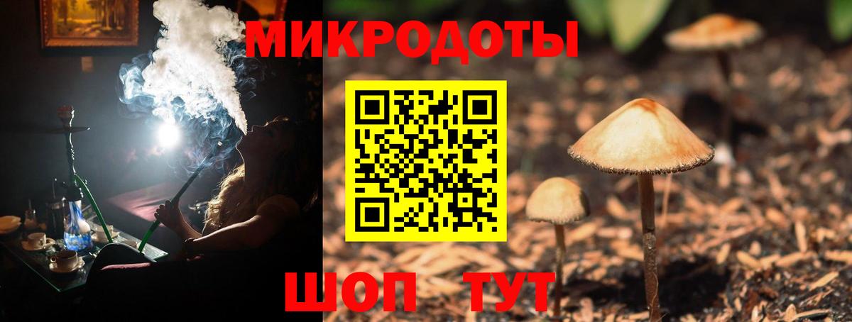 Галлюциногенные грибы Psilocybine cubensis  Вход с VPN  Сокол 